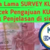 survey kur bri