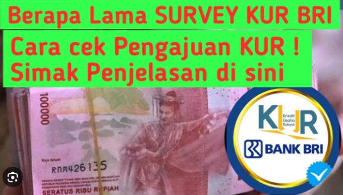 survey kur bri