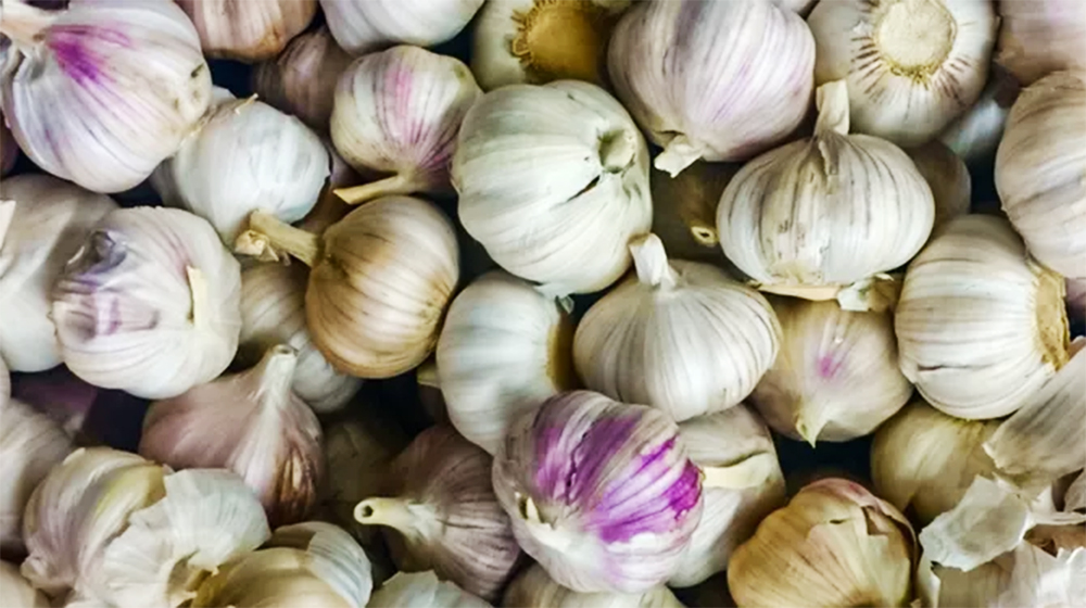 Perawatan Rambut dengan bawang putih