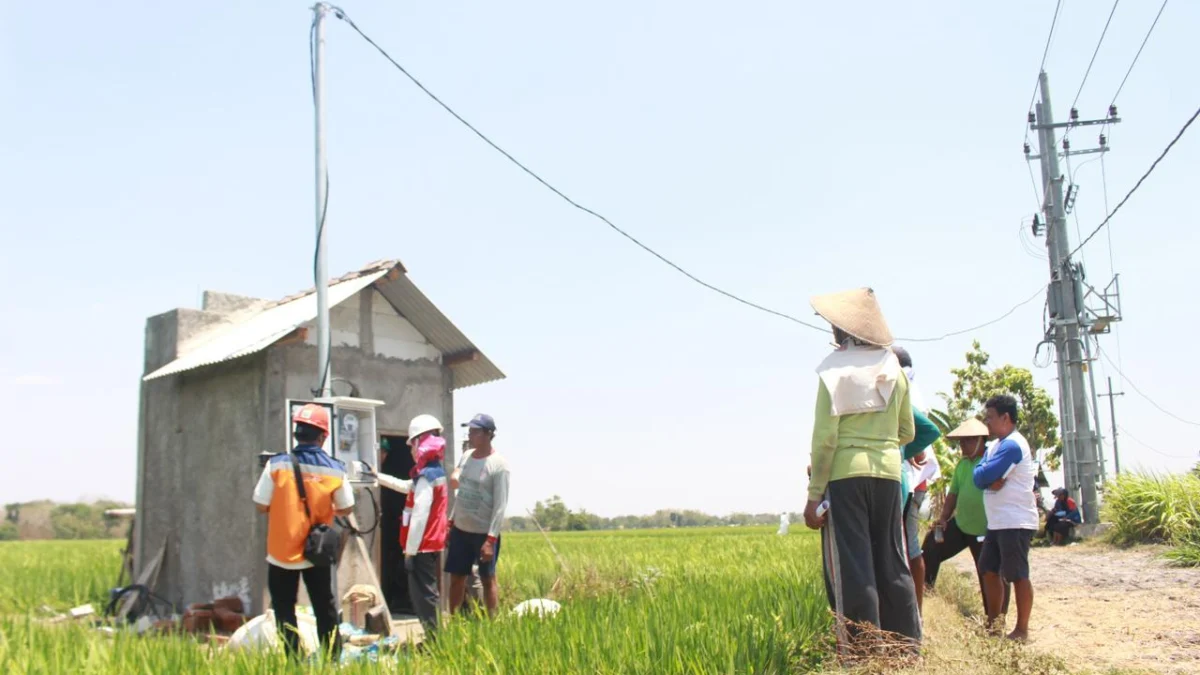 Pertanian Modern Berbasis Listrik Kian Berkembang, Program Electrifying Agriculture PLN Tumbuh 22,28 Persen