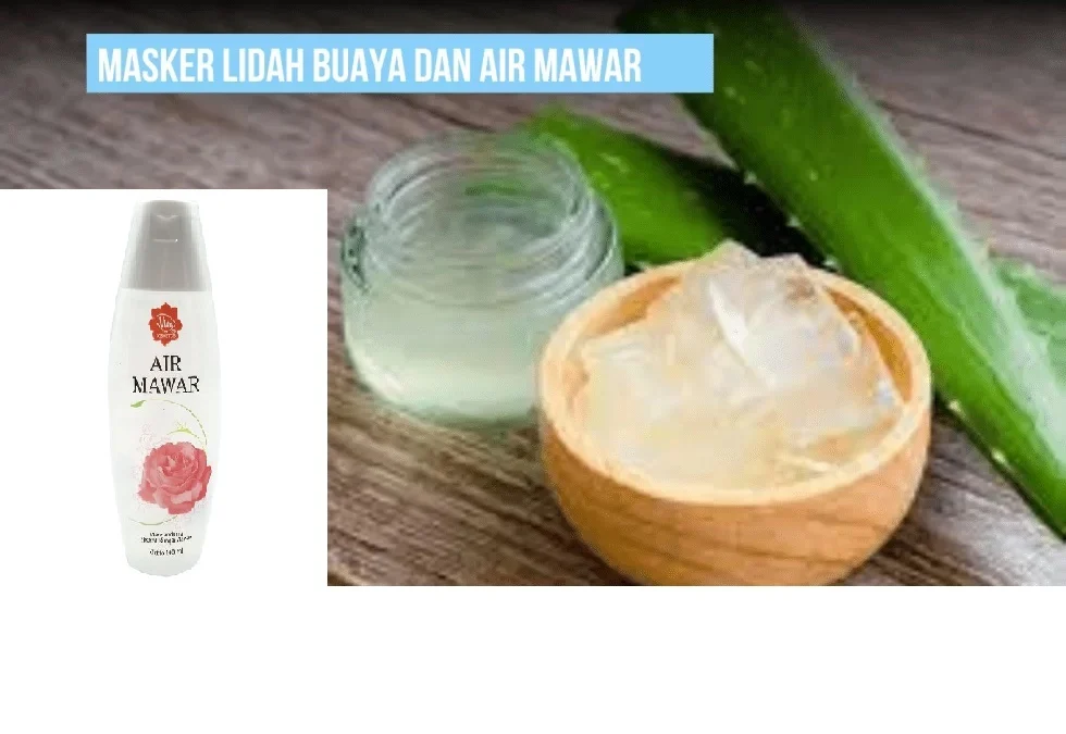 Campuran Air Mawar dan Lidah Buaya