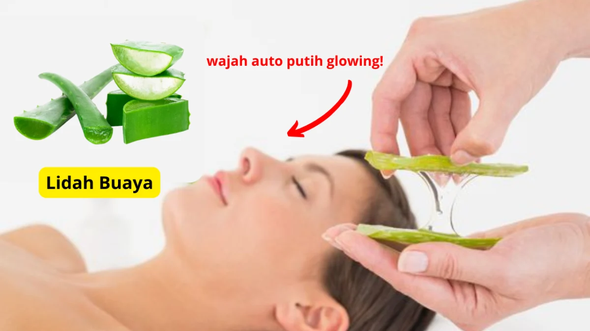 Gunakanlah lidah buaya agar kulit putih.