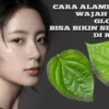 Gunakan Daun Sirih, Resep Alami Buat Wajah Putih Glowing