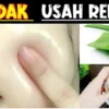 Tips MemutihkanWajah Pakai Lidah Buaya