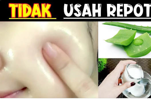 Tips MemutihkanWajah Pakai Lidah Buaya