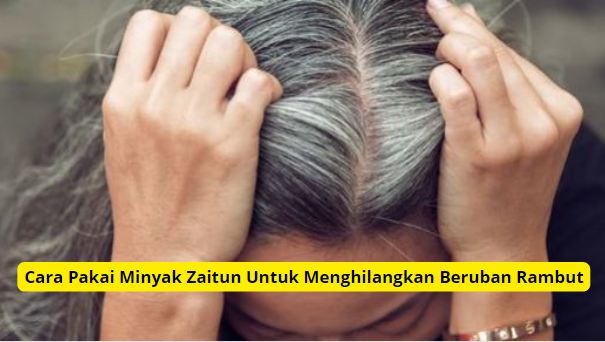 Cara pakai minyak zaitun untuk rambut beruban.