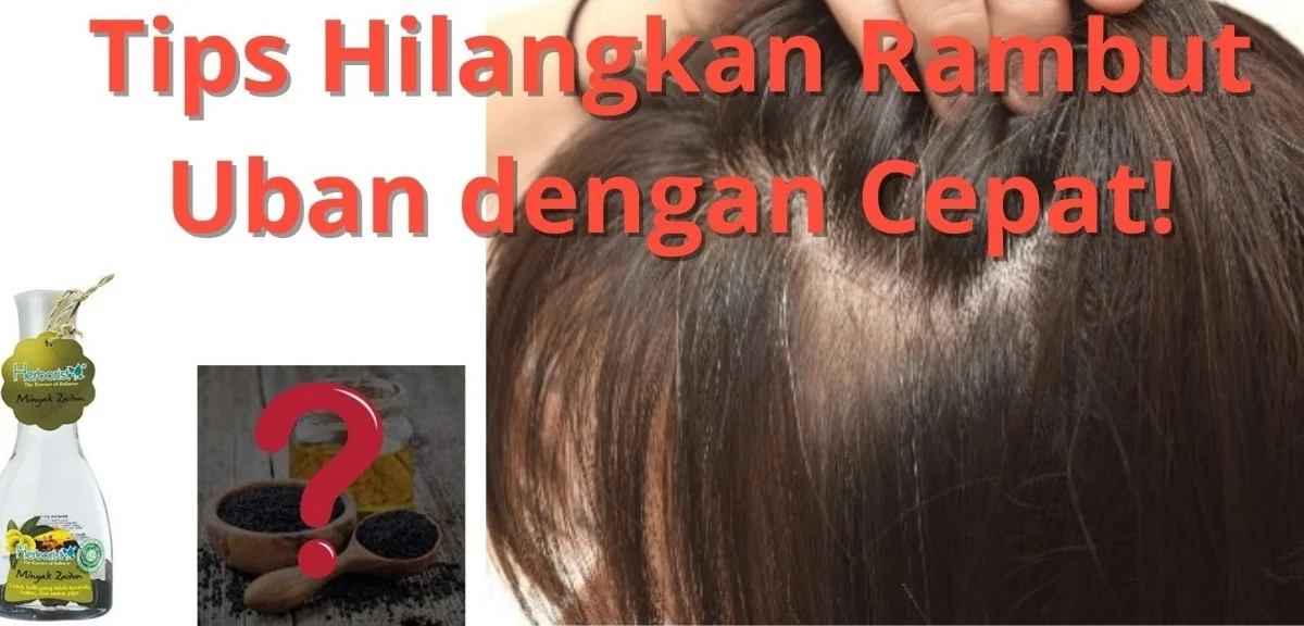 minyak zaitun untuk rambut ubanan