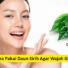 Cara pakai daun sirih agar wajah glowing dan lembut.