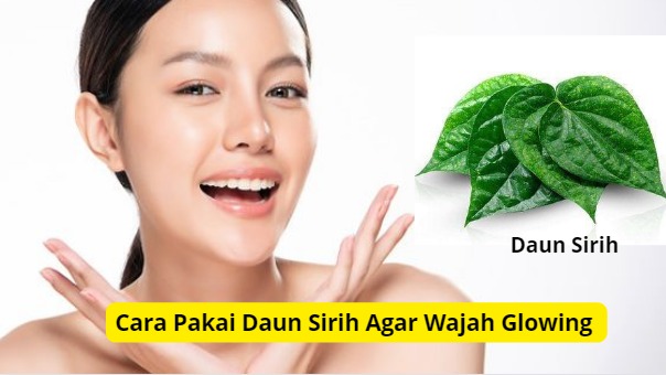 Cara pakai daun sirih agar wajah glowing dan lembut.