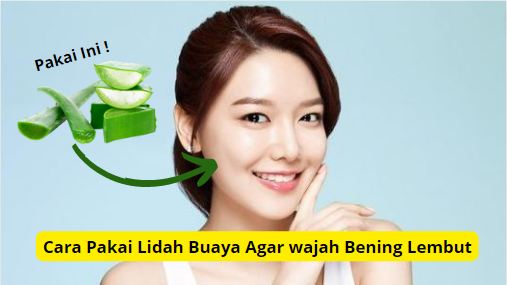 Cara pakai lidah buaya sebelum tidur agar wajah benig lembut.