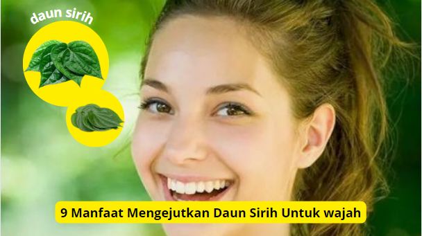 manfaat daun sirih untuk kulit wajah.