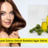 Manfaat minyak zaitun untuk rambut agar sehat dan indah.