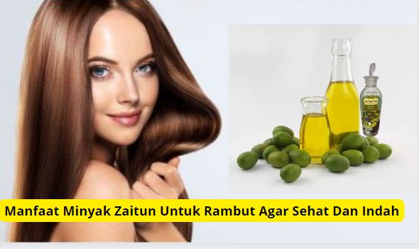 Manfaat minyak zaitun untuk rambut agar sehat dan indah.