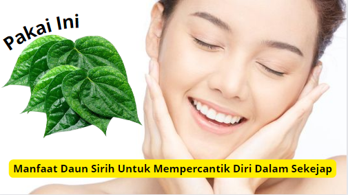 Manfaat daun sirih untuk kecantikan.