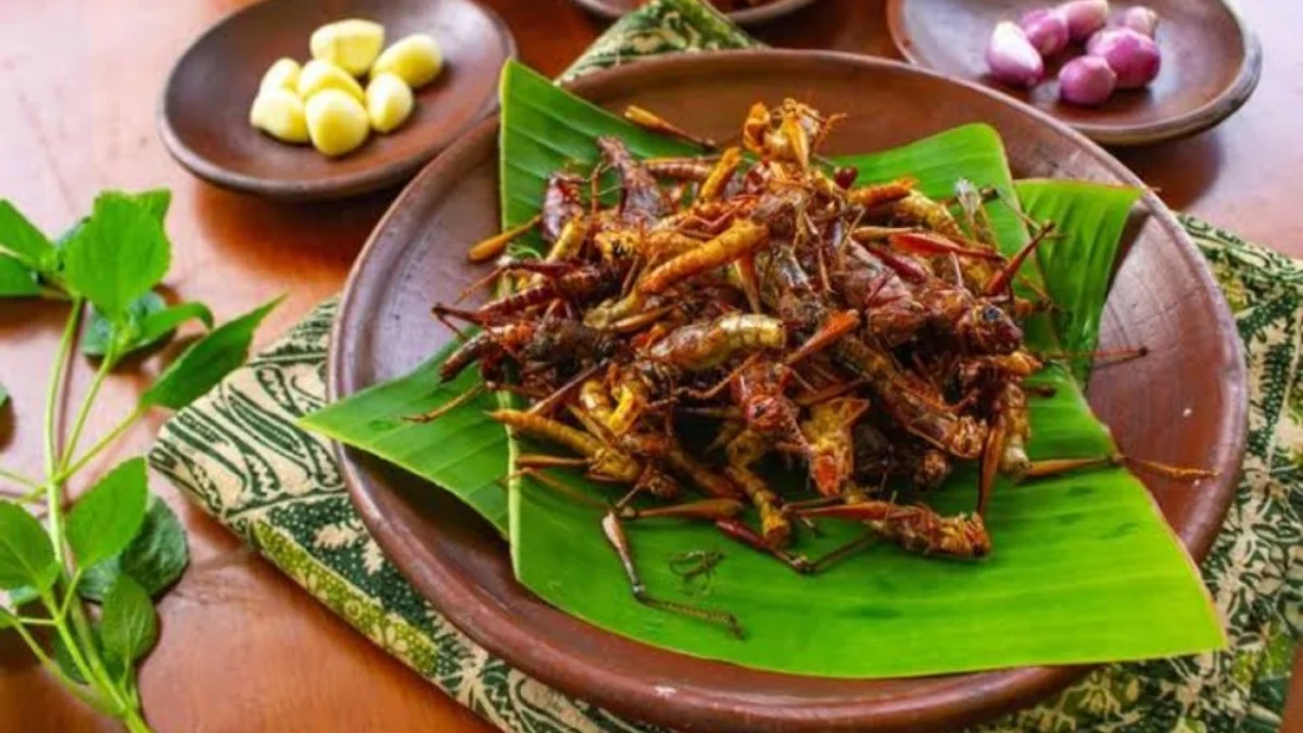 RESEP OLAHAN BELALANG GORENG YANG ENAK DAN GURIH