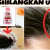 cara menghilangkan uban dengan kopi dan baby oil