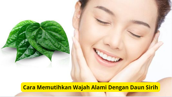 Cara memutihkan wajah alami dengan daun sirih.