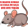 ilustrtasi Cara Mengusir Tikus dari Rumah