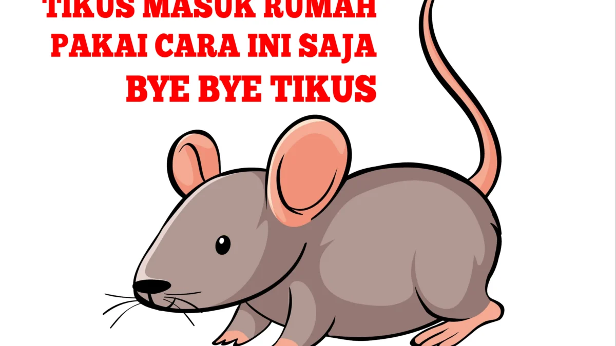 ilustrtasi Cara Mengusir Tikus dari Rumah