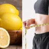 jus lemon untuk diet