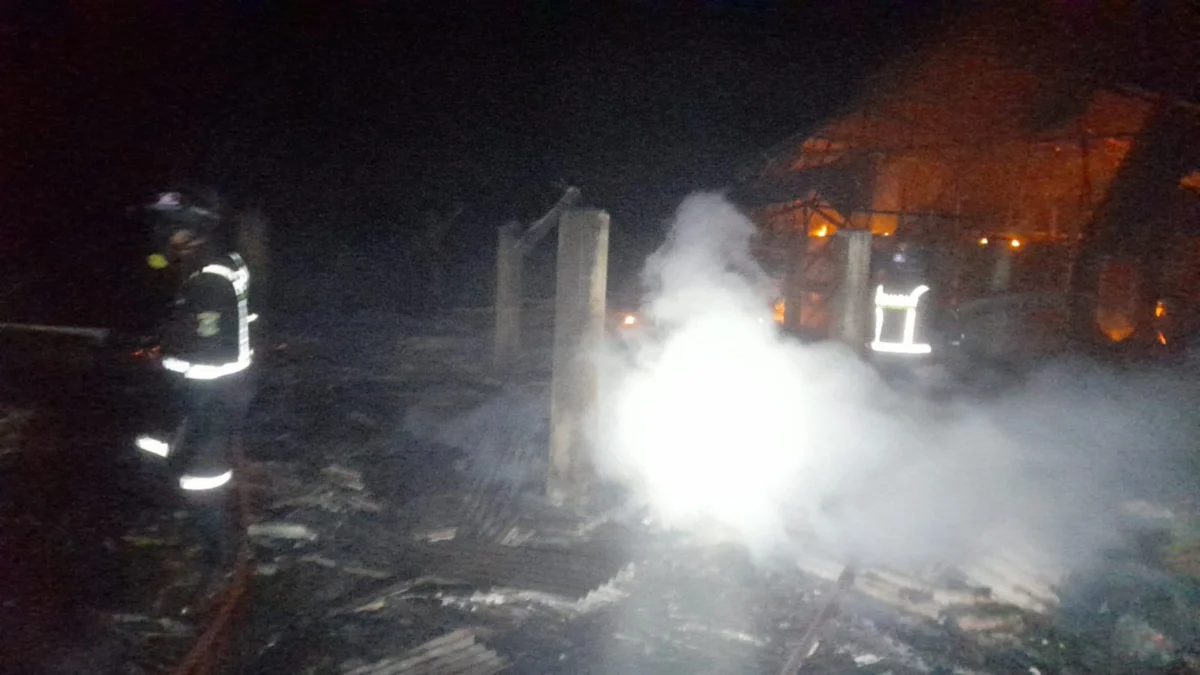 kandang ayam ludes terbakar (3)