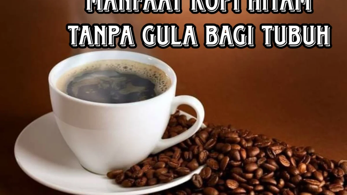 MANFAAT KOPI HITAM TANPA GULA YANG KAYA MANFAAT BAGI KITA