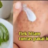 masker lidah buaya