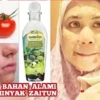 masker tomat dan minyak zaitun