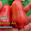 MANFAAT JAMBU AIR BUAT KESEHATAN KITA