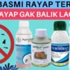 CARA MENGHILANGKAN RAYAP DENGEN CEPAT DAN TEPAT BIAR NGAK BALIK KE RUMAH LAGI