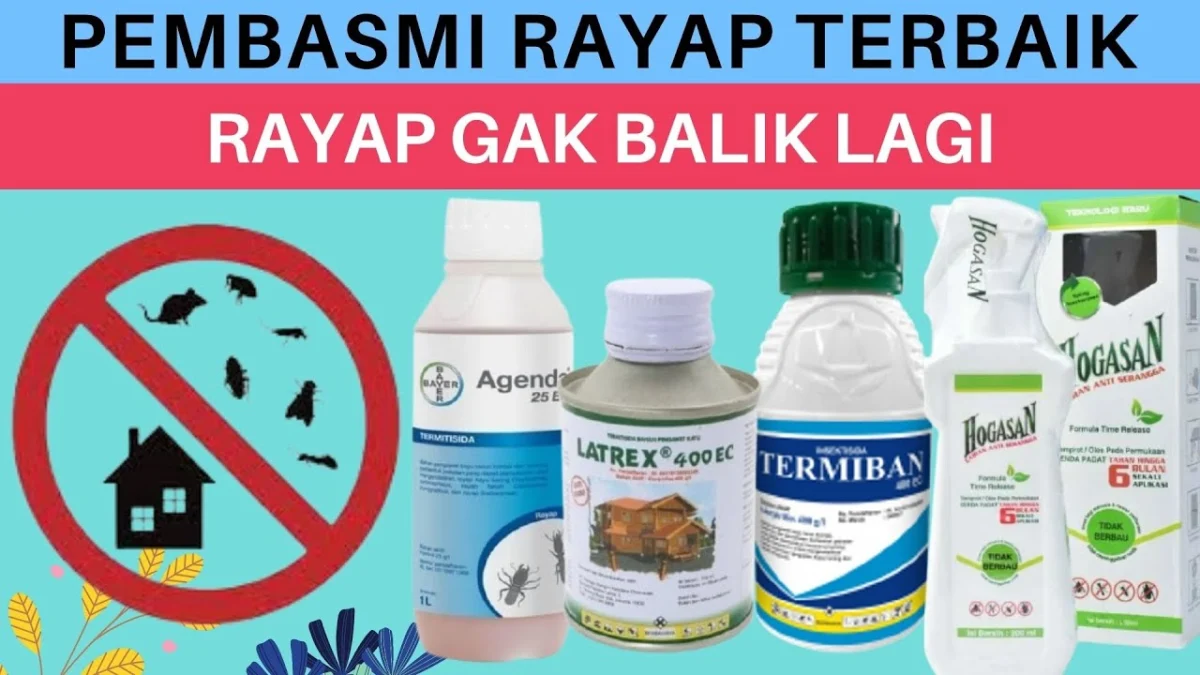 CARA MENGHILANGKAN RAYAP DENGEN CEPAT DAN TEPAT BIAR NGAK BALIK KE RUMAH LAGI