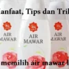 Manfaat, Tips dan Trik Cara memilih air mawar lokal,