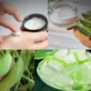 7 Racikan Lidah Buaya Yang Top dan Bagus Agar Wajah Putih Glowing dan Bebas Flek Hitam