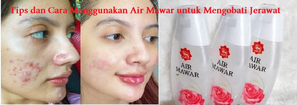 Manfaat Air Mawar dan Cara Menggunakannya