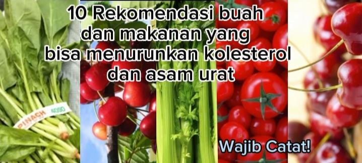 10 rekomendasi buah dan makanan yang bisa menurunkan kolestrol dan asam urat