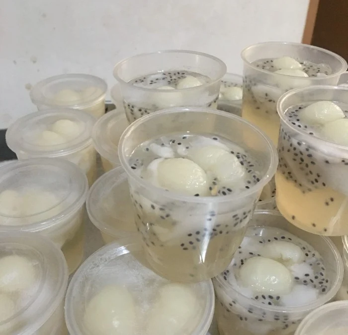 PUDING KELAPA MUDA YANG NIKMAT