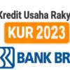 kur bri 2023