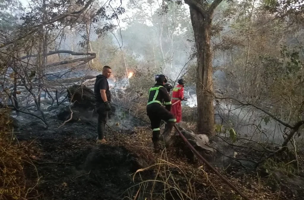 Petugas BPBD dan Damkar Kuningan sedang memadamkan api di kawasan TNGC