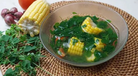 Sayur daun Kelor