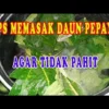 Cara Mengolah Daun Pepaya Agar Tidak Pahit dan Cepat Empuk