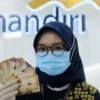 Paylater Bank Mandiri