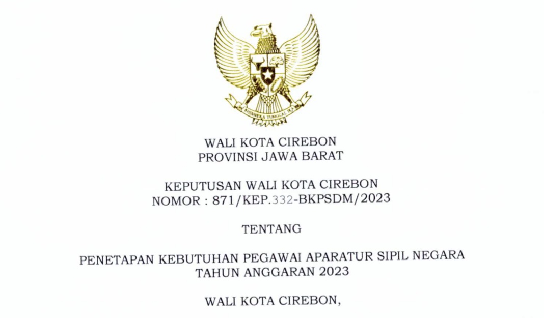 CPNS dan PPPK 2023