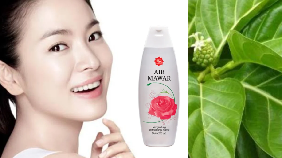 Membuat Racikan Air Mawar Viva dan Daun Mengkudu Ampuh Bikin Awet Muda dan Mencerahkan Wajah Glowing Permanen. 5 Manfaat Ada Disini!