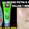 air mawar viva dan lidah buaya