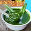 REBUSAN DAUN PANDAN YANG KAYA MANFAAT BAGI TUBUH