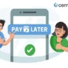 TIPS CARA MENCARI PAYLATER YANG AMAN BUAT KITA BELANJA