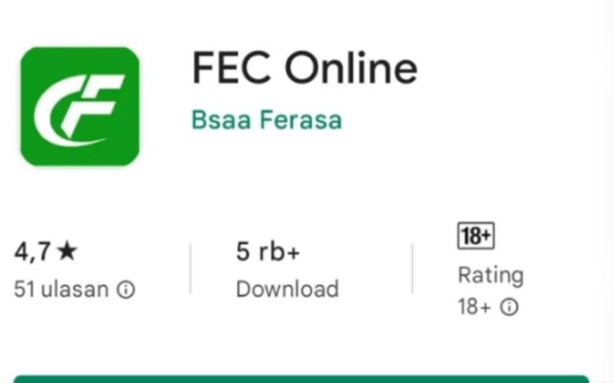 investasi FEC