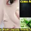 masker lidah buaya dan minyak zaitun