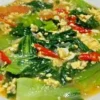 resep pakcoy saus tiram