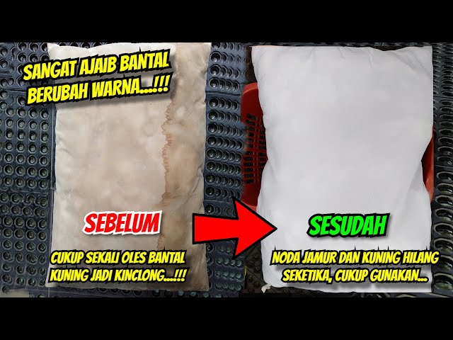 CARA AGAR BANTAL KUNING JADI PUTIH KEMBALI